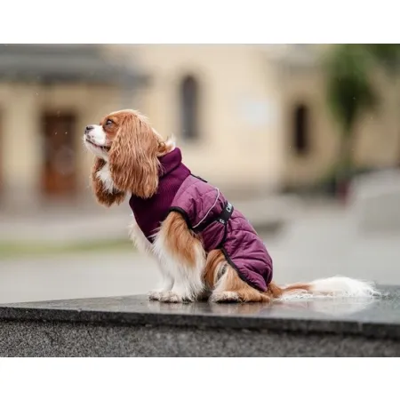 Chaba Kubrak Regulowany Chic 2XL burgundy-2039406