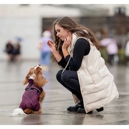 Chaba Kubrak Regulowany Chic 4XL burgundy-2039474