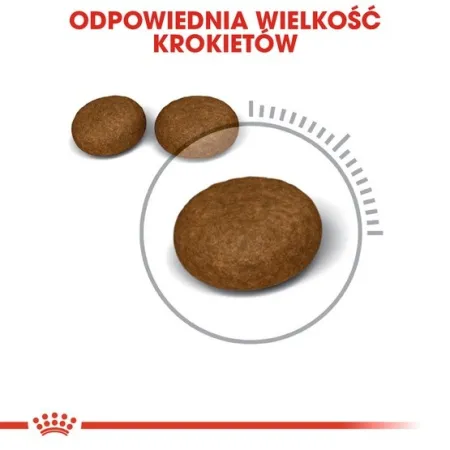 Royal Canin Hair&Skin Care karma sucha dla kotów dorosłych, lśniąca sierść i zdrowa skóra 4kg-2039496