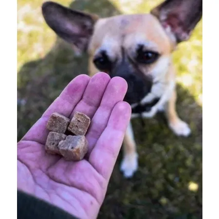 Kiwi Walker Przysmaki liofilizowane 100% królik 75g-2039741