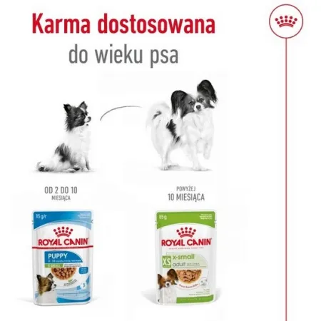 Royal Canin X-Small Adult w sosie saszetka 85g-2039838