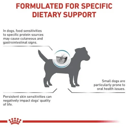 Royal Canin Veterinary Diet Canine Anallergenic Small 3kg-2039957