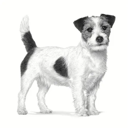 Royal Canin Veterinary Diet Canine Anallergenic Small 3kg-2039958