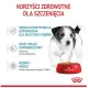 Royal Canin Mini Puppy karma mokra w sosie dla szczeniąt, od 2 do 10 miesiąca życia, ras małych saszetka 85g-2031499