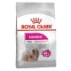 Royal Canin Mini Exigent karma sucha dla psów dorosłych, ras małych, wybrednych 1kg-2031540