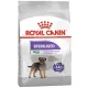 Royal Canin Mini Sterilised karma sucha dla psów dorosłych, ras małych, sterylizowanych 1kg-2031550