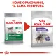Royal Canin Mini Sterilised karma sucha dla psów dorosłych, ras małych, sterylizowanych 1kg-2031551