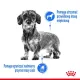 Royal Canin Mini Light Weight Care karma sucha dla psów dorosłych, ras małych z tendencją do nadwagi 1kg-2031556