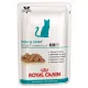 Royal Canin Veterinary Care Nutrition Feline Skin & Coat saszetka 85g-2031590