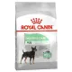 Royal Canin Mini Digestive Care karma sucha dla psów dorosłych, ras małych o wrażliwym przewodzie pokarmowym 3kg-203