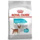 Royal Canin Mini Urinary Care karma sucha dla psów dorosłych, ras małych, ochrona dolnych dróg moczowych 1kg-2031664