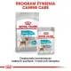 Royal Canin Mini Urinary Care karma sucha dla psów dorosłych, ras małych, ochrona dolnych dróg moczowych 1kg-2031667