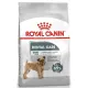 Royal Canin Mini Dental Care karma sucha dla psów dorosłych, ras małych, redukująca powstawanie kamienia nazębnego 