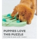 Nina Ottosson Puppy Hide 'N Slide Green - gra edukacyjna [69538]-2033996