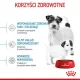 Royal Canin Mini Starter Mother&Babydog karma sucha dla szczeniąt do 2 miesiąca i suk karmiących ras małych 4kg-2034
