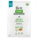 Brit Care Grain Free Adult Large Breed Salmon 3kg-2035030