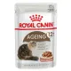 Royal Canin Ageing +12 karma mokra w sosie dla kotów dojrzałych saszetka 85g-2035710
