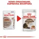 Royal Canin Ageing +12 karma mokra w sosie dla kotów dojrzałych saszetka 85g-2035711