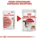 Royal Canin Instinctive w sosie karma mokra dla kotów dorosłych, wybrednych saszetka 85g-2035717