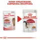Royal Canin Instinctive w galaretce karma mokra dla kotów dorosłych, wybrednych saszetka 85g-2035722