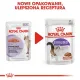 Royal Canin Sterilised w sosie karma mokra dla kotów dorosłych, sterylizowanych saszetka 85g-2035735