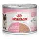 Royal Canin Mother & Babycat Mousse karma mokra - mus dla kociąt i kotek karmiących puszka 195g