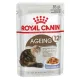 Royal Canin Ageing +12 karma mokra w galaretce dla kotów dojrzałych saszetka 85g-2035752