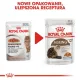 Royal Canin Ageing +12 karma mokra w galaretce dla kotów dojrzałych saszetka 85g-2035753