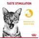 Royal Canin Sensory Taste w sosie karma mokra dla kotów dorosłych saszetka 85g-2035812