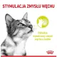 Royal Canin Sensory Smell w sosie karma mokra dla kotów dorosłych saszetka 85g-2035817