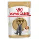 Royal Canin British Shorthair karma mokra w sosie dla kotów dorosłych rasy brytyjski krótkowłosy saszetka 85g-203595