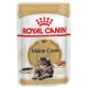Royal Canin Maine Coon karma mokra w sosie dla kotów dorosłych rasy maine coon saszetka 85g-2035955