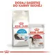 Royal Canin Indoor Long Hair karma sucha dla kotów dorosłych, długowłose, przebywających wyłącznie w domu 2kg-203