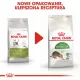 Royal Canin Outdoor karma sucha dla kotów dorosłych, wychodzących na zewnątrz 4kg-2036078