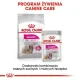 Royal Canin Exigent karma mokra dla wybrednych psów dorosłych, wszystkich ras, pasztet saszetka 85g-2036122