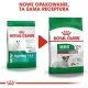Royal Canin Mini Ageing 12+ karma sucha dla psów dojrzałych po 12 roku życia, ras małych 800g-2036212