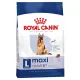 Royal Canin Maxi Adult 5+ karma sucha dla psów starszych, od 5 do 8 roku życia, ras dużych 15kg