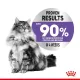 Royal Canin Appetite Control Care karma mokra w galaretce dla kotów dorosłych, domagających się jedzenia saszetka 85