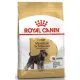 Royal Canin Miniature Schnauzer Adult karma sucha dla psów dorosłych rasy schnauzer miniaturowy 3kg-2036658