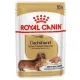 Royal Canin Dachshund karma mokra - pasztet, dla psów dorosłych rasy jamnik saszetka 85g-2036719