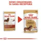 Royal Canin Dachshund karma mokra - pasztet, dla psów dorosłych rasy jamnik saszetka 85g-2036720