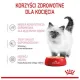Royal Canin Kitten pasztet (loaf) karma mokra dla kociąt do 12 miesiąca życia saszetka 85g-2037132