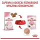 Royal Canin Kitten pasztet (loaf) karma mokra dla kociąt do 12 miesiąca życia saszetka 85g-2037133