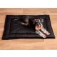 MIMIKO Pets Mata Velvet 100x70cm czarny-2037391