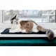 MIMIKO Pets Mata Velvet 25x70cm czarny-2037525