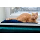 MIMIKO Pets Mata Velvet 25x70cm granat-2037531