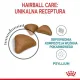 Royal Canin Hairball Care karma sucha dla kotów dorosłych, eliminacja kul włosowych 4kg-2039501