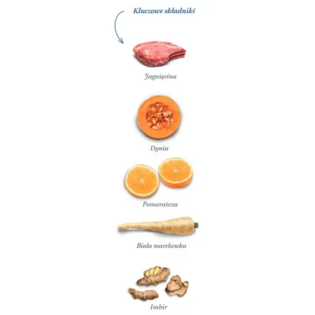 Amanova Dog Adult Mini Sensitive Delicious Lamb - jagnięcina 2kg-2040030