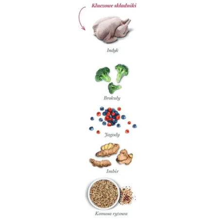 Amanova Dog Adult Mini Obesity Turkey Delight - indyk 7kg-2040055