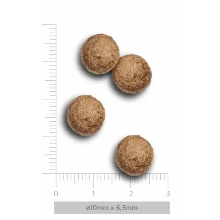 Amanova Dog Adult Mini Obesity Turkey Delight - indyk 800g-2040061